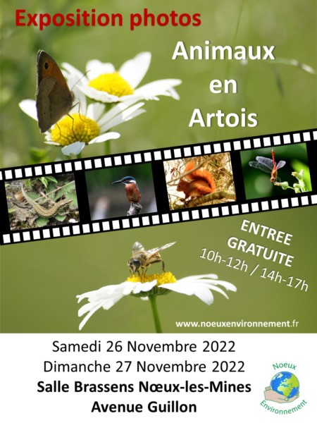 Exposition photos le 26 & 27 novembre !