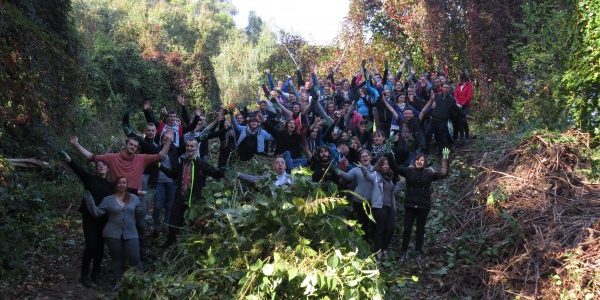 Chantier arrachage de la Renouée du Japon Chantier arrachage de la Renouée du Japon