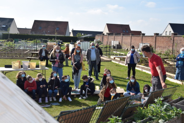 Les insectes pollinisateurs à l’école Saint Exupéry