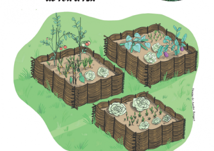 Atelier Tressage du bois Atelier Tressage du bois