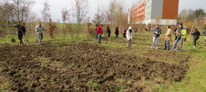 Cultivons notre santé Cultivons notre santé
