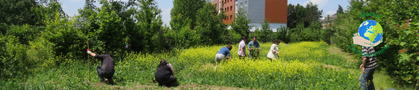 Cultivons notre santé ! Premières récoltes Cultivons notre santé ! Premières récoltes