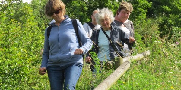 Rando nature sur le terril de Nœux-les-Mines