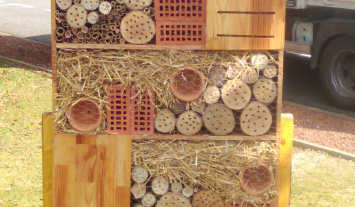 Construction hôtel à insectes Construction hôtel à insectes