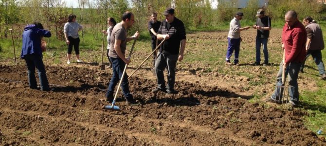 Retour au jardin Retour au jardin