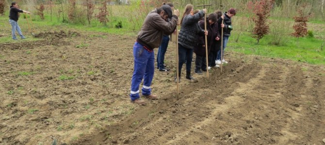 On continue de semer ! On continue de semer !