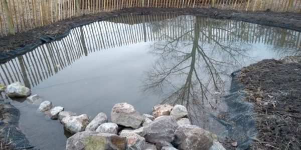 Création d’une mare à Marles-les-Mines Création d’une mare à Marles-les-Mines