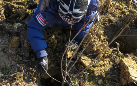 Ça plante à Hersin-Coupigny ! Ça plante à Hersin-Coupigny !