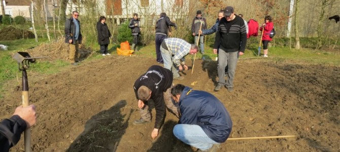 C’est parti pour les semis ! C’est parti pour les semis !
